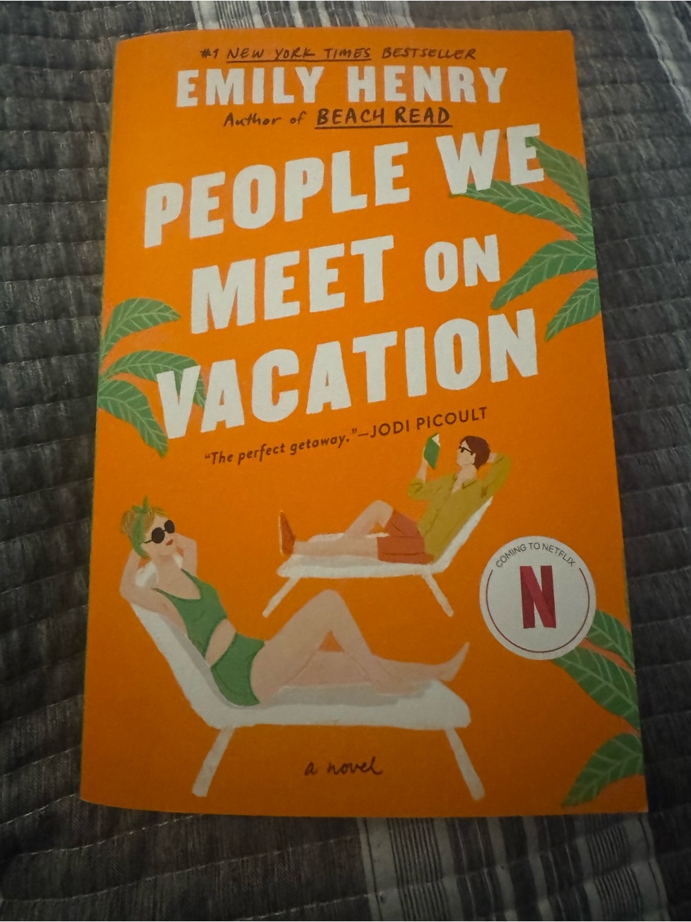 People We Meet on Vacation Book